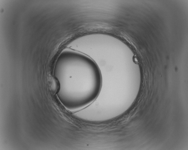 X0000067520407200604071029