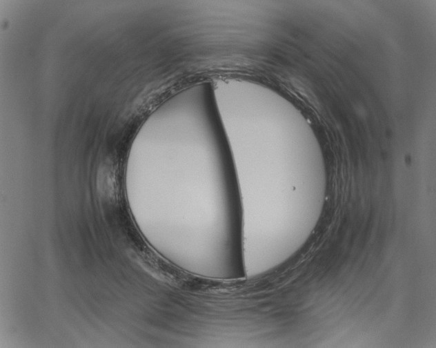 X0000067520408200604071029