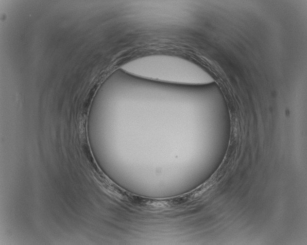 X0000067520409200604071029