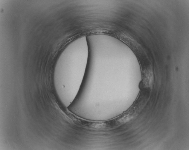 X0000067520410200604071029