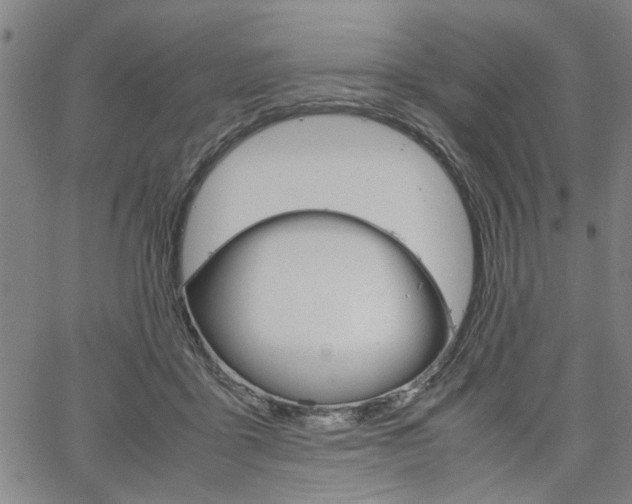 X0000067520411200604071029