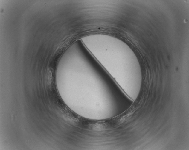 X0000067520412200604071029