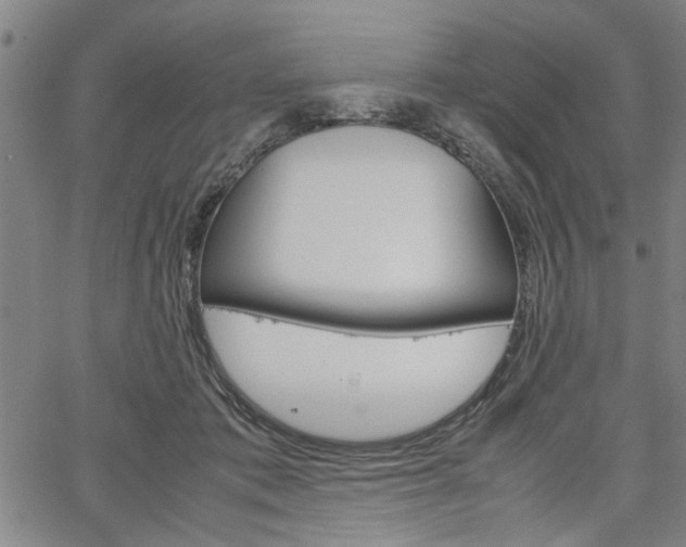 X0000067520413200604071029