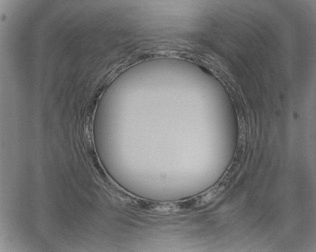 X0000067520415200604071029