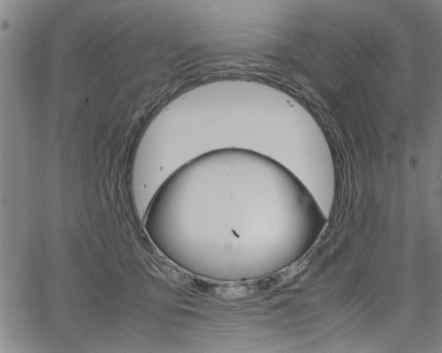 X0000067520419200604071029