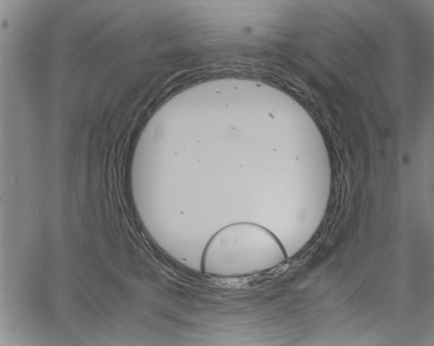 X0000067520421200604071029