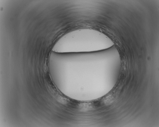 X0000067520422200604071029