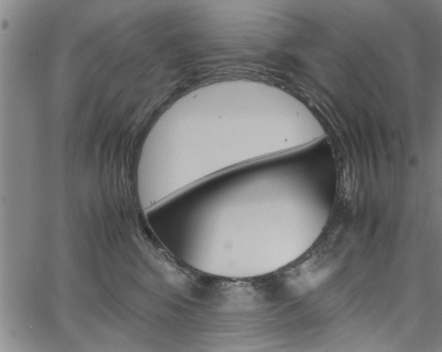 X0000067520424200604071029