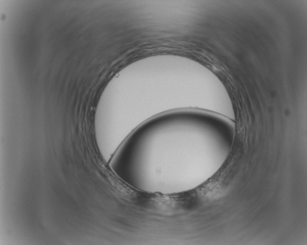 X0000067520425200604071029