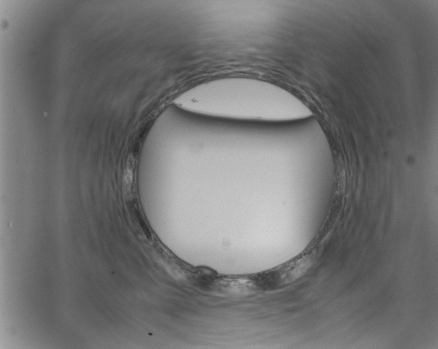 X0000067520427200604071029