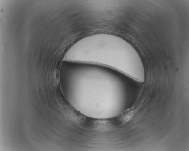 X0000067520428200604071029