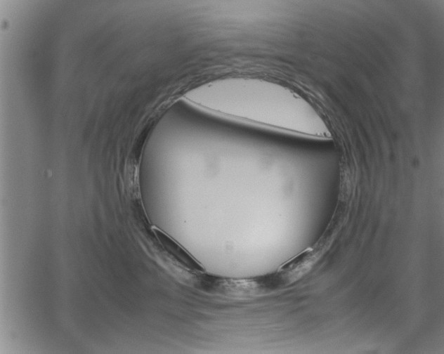 X0000067520429200604071029