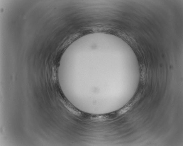 X0000067520430200604071029