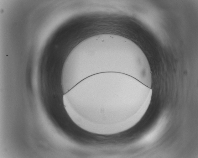 X0000067520431200604071029