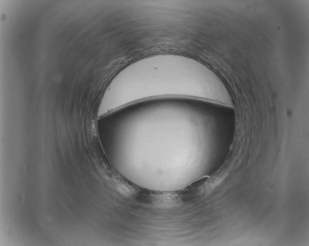 X0000067520432200604071029