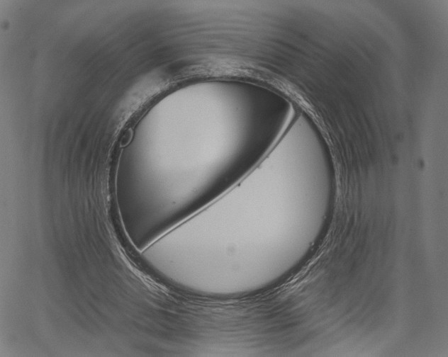 X0000067520438200604071028