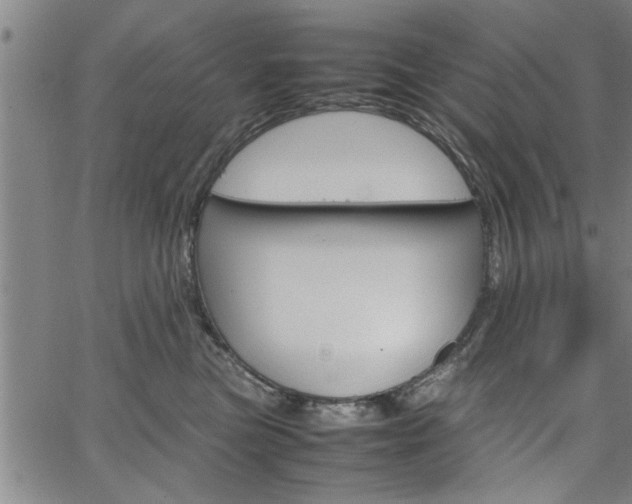 X0000067520473200604071029