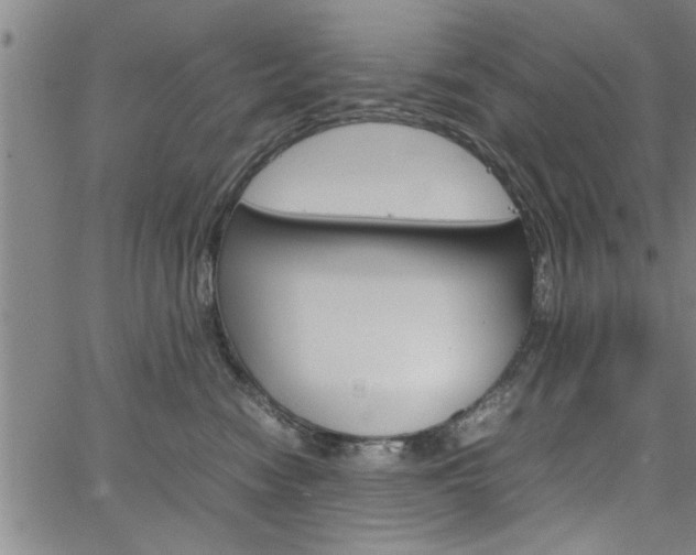 X0000067520474200604071029