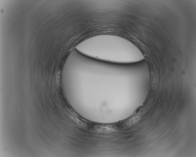 X0000067520475200604071029