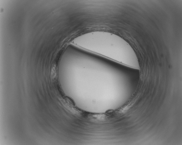 X0000067520478200604071029