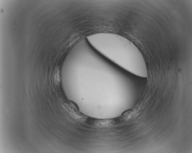 X0000067520479200604071029