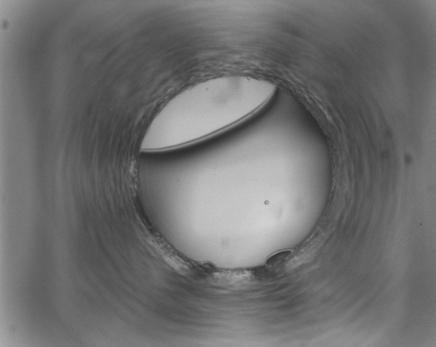 X0000067520480200604071029