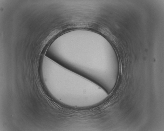 X0000067520483200604071028