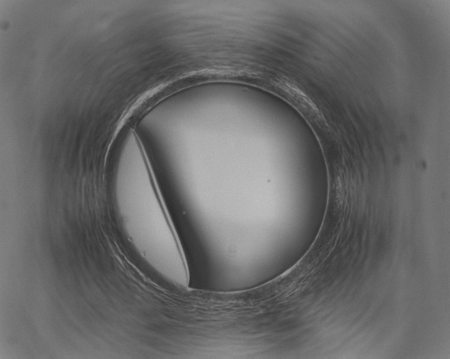 X0000067520484200604071028