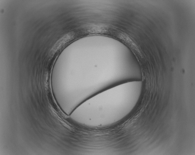 X0000067520490200604071028