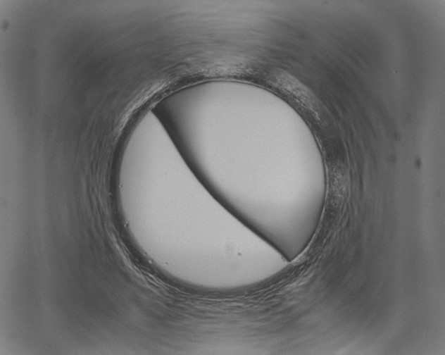 X0000067520491200604071028