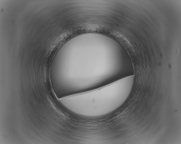 X0000067520496200604071028