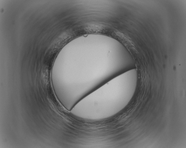 X0000067520498200604071028