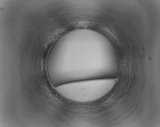 X0000067520504200604071027