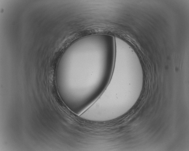 X0000067520509200604071027