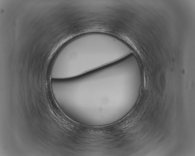 X0000067520531200604071026
