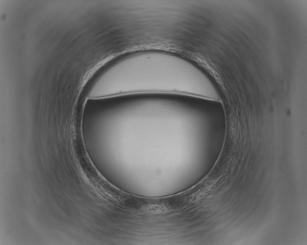 X0000067520536200604071026