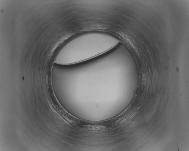 X0000067520539200604071026