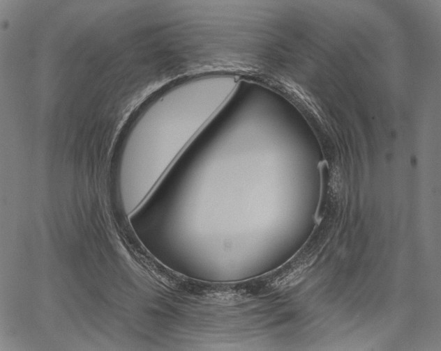 X0000067520540200604071026