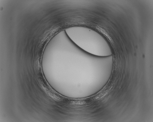X0000067520541200604071027