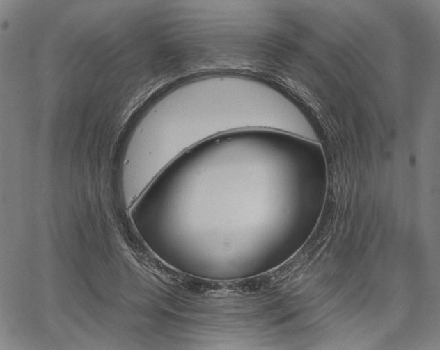 X0000067520544200604071027