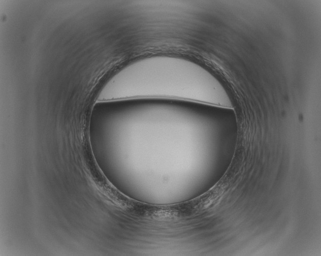 X0000067520546200604071027