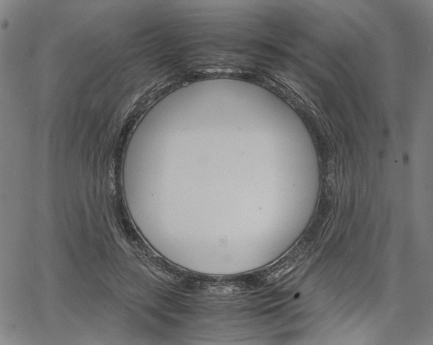 X0000067520547200604071027