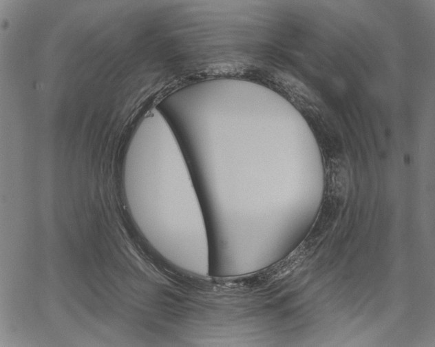 X0000067520550200604071027