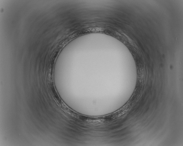 X0000067520553200604071027