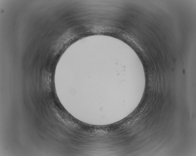 X0000067520592200604071026