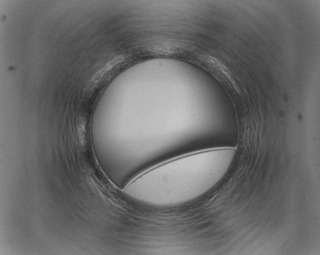 X0000067520596200604071026