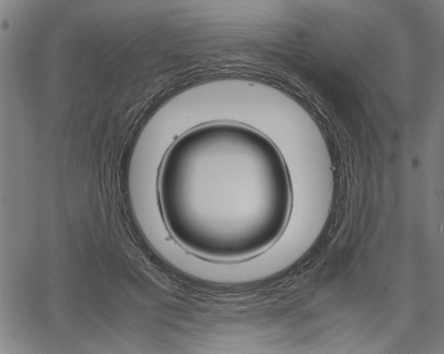 X0000067520601200604071026