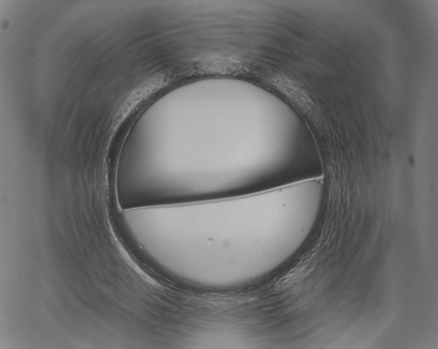 X0000067520630200604071025