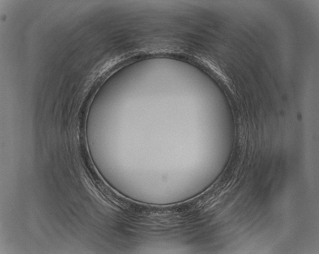 X0000067520631200604071025