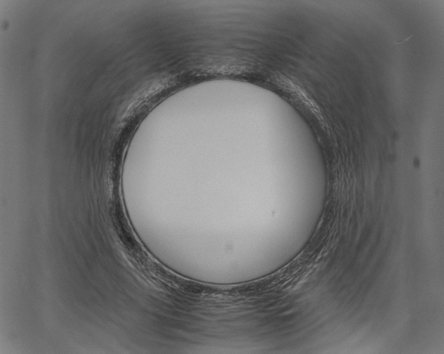 X0000067520635200604071025